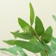 Magnolia Home by Joanna Gaines Green Seeded Eucalyptus Stem-2