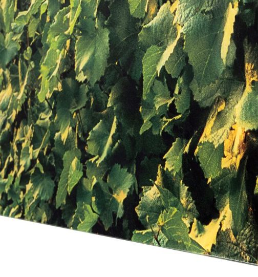 YHD Wine Country Wall Art-3
