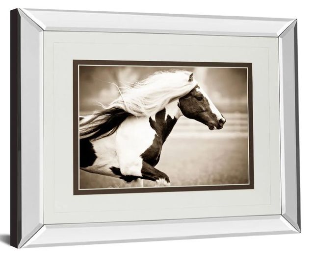 Classy Art Gypsies Pride by Carol Walker Mirror Framed Wall Art-1