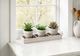 Monarch Specialties Inc. 3-Piece 6" Succulent Artificial Plant Set in 4" Beige Pots and Wood Tray-0