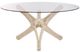 Century® Curate Long Beach Glass Top Dining Table with Rattan Base-0