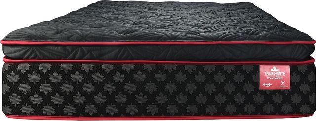 Springwall® True North Chiropractic® Whistler 14" Wrapped Coil Plush Pillow Top Twin Mattress-2