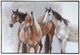 Stylecraft Norman Wyatt Thoroughbred Wall Art-0