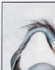 Bassett Mirror Louisiana Heron Canvas Wall Art-4