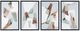 Crestview Collection Origami 4-Piece Wall Art Set-0