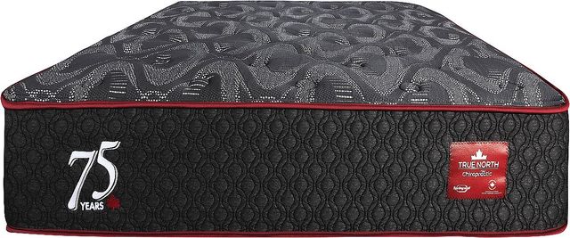Springwall® True North Chiropractic® 13" Wrapped Coil Medium Plush Tight Top Twin Mattress in a Box-2