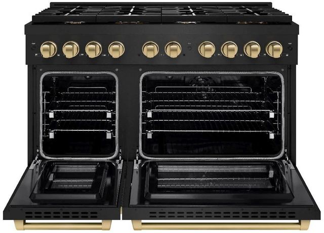 ZLINE Autograph Edition Paramount 48" Black Stainless Steel Pro Style Dual Fuel Range with Champagne Bronze Accents-1