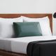 Malouf® Z™ Zoned ActiveDough™ + CBD Oil Queen Bed Pillow-5