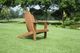 Linon Accorn Brown Wooden Adirondack Outdoor Chair-1