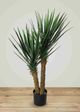 Le Present Yucca Green 39" Faux Botanical Rostrata-2