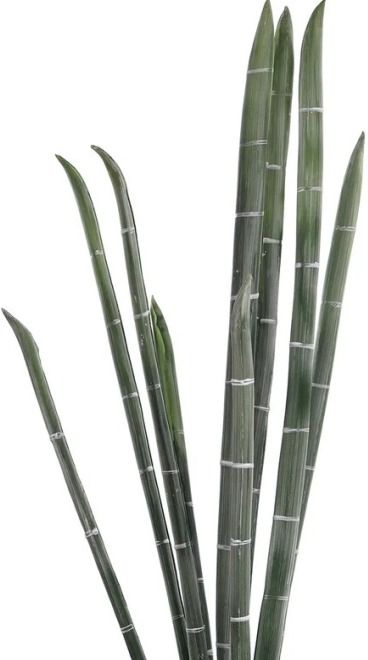 Harp & Finial® Giant Bamboo Green Foam Floral-1