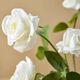 Magnolia Home by Joanna Gaines White Real Touch Rose Bundle-3