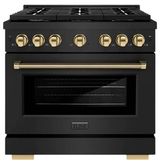 Black Stainless Steel-Polished Gold