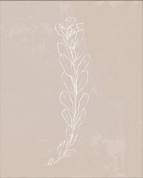 Classy Living Annie Warren Blush Bloom II Wall Art-1