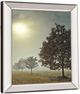 Classy Living Frank, A It’s a New Day Wall Art-2