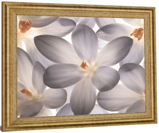 Classy Living Whispering Blossom Wall Art-2