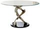 Furniture of America® Roxo Glass Top Dining Table with Silver/Black Base-0