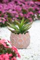 A & B Home 2-Piece Terracotta Planter Set-4
