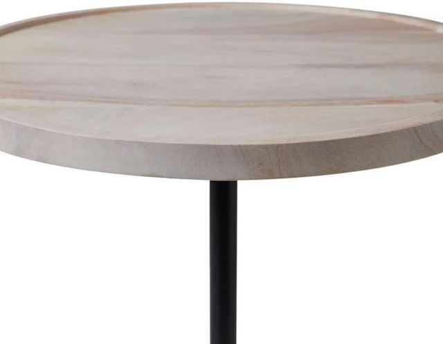 Renwil® Antares Whitewash Accent Table-1