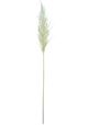 A & B Home White Dried Natural Pampas Grass Bundle-1