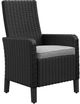 Signature Design by Ashley® Beachcroft 2-Piece Black/Light Gray Fabri/Resin Outdoor Dining Arm Chair with Cushion-2