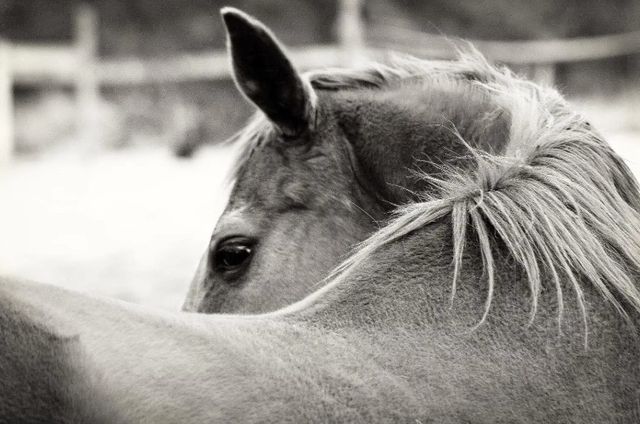Classy Art Over His Shoulder by Gail Peck Wall Art-0