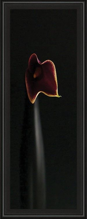 Classy Art Black/Red Calla In Ebony By Steven Mitchell Wall Art-1