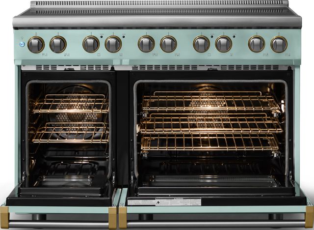Viking® 5 Series 48" Splash Pro Style Induction Range with Brushed Brass Trim-1