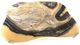 A & B Home Manuel Multi-Colored Hand-Carved Zebra Onyx Bowl-0
