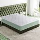 Primo™ International Honey Cloud Nuovo 10" Hybrid Tight Top Queen Mattress in a Box-1