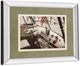 Classy Living Gail Peck Cool Cats 34" Wall Art-3