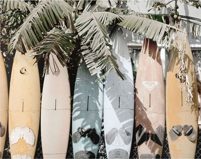 Moe's Home Collection Surfs Up Wall Decor-2