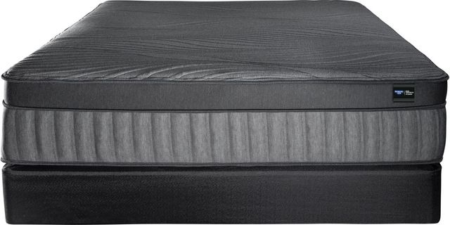 Spring Air® Back Supporter Niki 16" Hybrid Plush Euro Top Queen Mattress-2