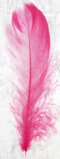 Classy Art Pink Feather Wall Art-1