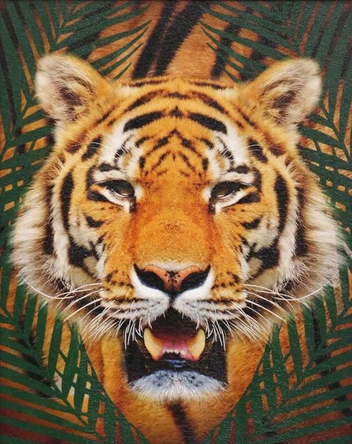 Stylecraft Roaming Wild I Wall Art-1