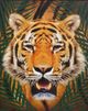 Stylecraft Roaming Wild I Wall Art-1