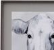 Bassett Mirror Horse Sweet Face I Wall Art-2