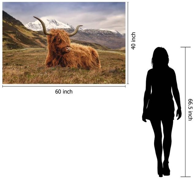 Classy Art Highland Cow 2 Wall Art-2