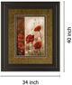 Classy Living Conrad Knutsen Wild Poppies I 34" Wall Art-2