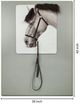 Classy Living Mindful Equine Elegance Wall Art-2