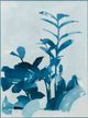Stylecraft Blue/Light Blue/White Wall Art-1