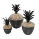 A & B Home 3-Piece Black/Brown Decorative Lidded Jar Set-2