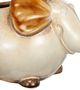 A & B Home Brown/White Elephant Water Pitcher-1
