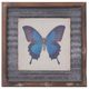 A & B Home 3-Piece Butterfly Wall Art Set-1
