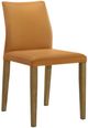 Armen Living Elyza Orange Dining Chair-0