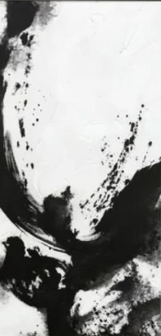 Stylecraft Soul Dance II Black/White Wall Art-1
