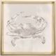Stylecraft White Wash Crab Wall Art-0