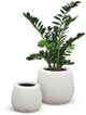 Le Present Belly White 15" Planter-2