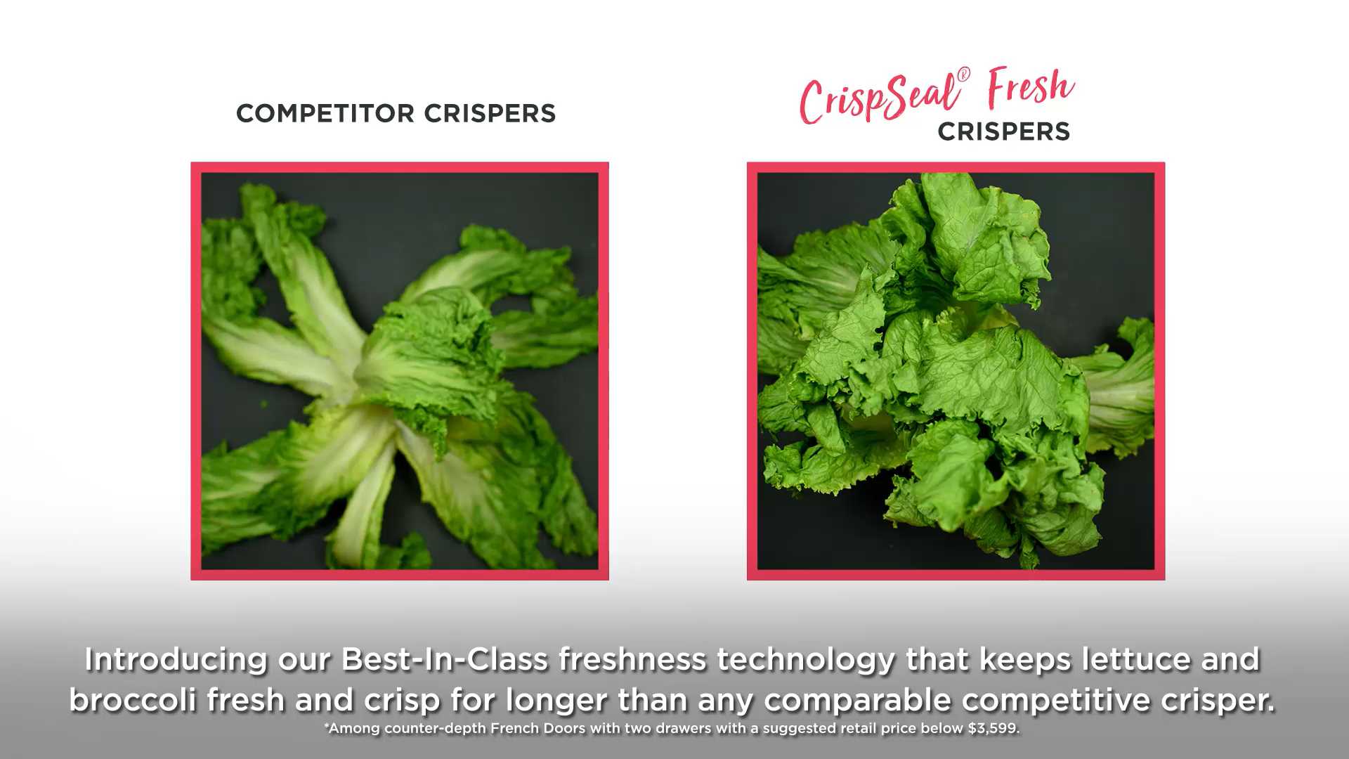 CrispSeal-Fresh-Video.mp4