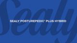 Sealy Posturepedic Plus